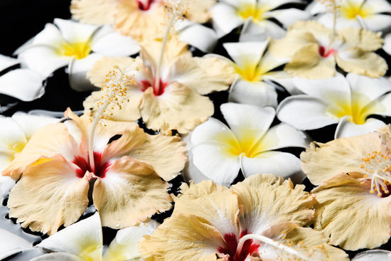 Aromatherapy Utah 7 Relaxing Aromatherapy Services in Utah