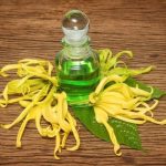 Is Moods Aromatherapy Safe Shop Certified Organic Essential Oils for Peaceful Vibes